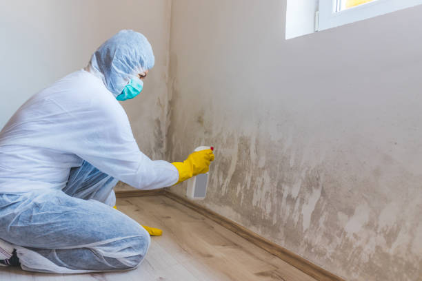 Licensed Mold Remediation service in Hagerstown, MD - 24 Hour Mold Removal