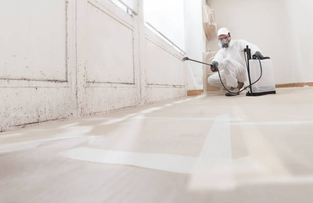 24/7 Emergency Mold Remediation experts in Hagerstown, MD