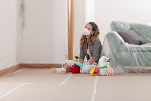 Reliable Mold Remediation contractor in Hagerstown, MD by 24 Hour Mold Removal